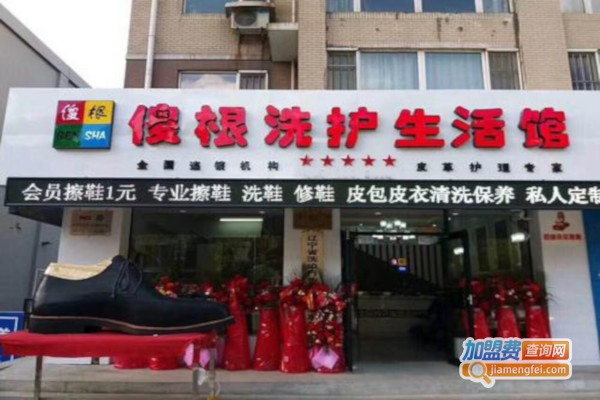 傻根洗护加盟费