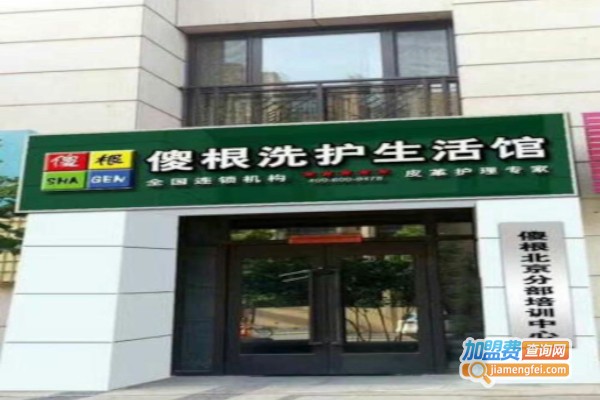 傻根洗护加盟费