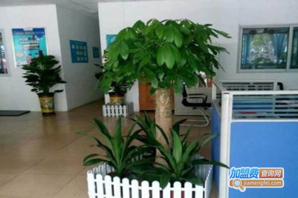 樱花教育培训中心加盟费