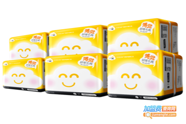 一朵纸尿裤加盟费