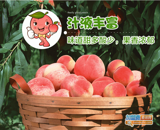 果然鲜水果店加盟费