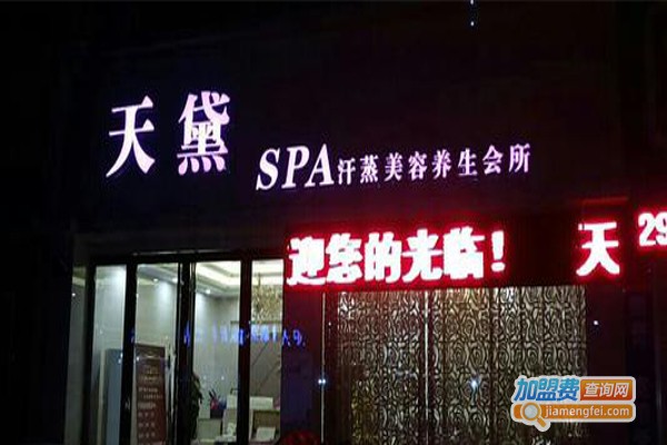 天黛SPA加盟费