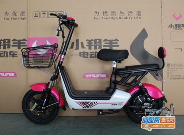 小羚羊品牌电动车加盟费