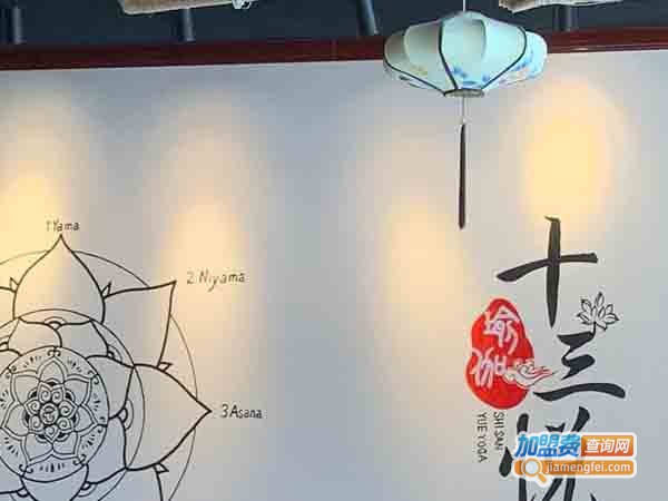 十三悦瑜伽加盟店