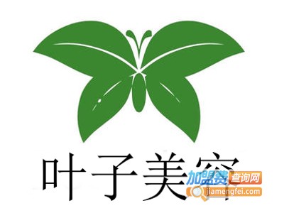 叶子美容加盟费