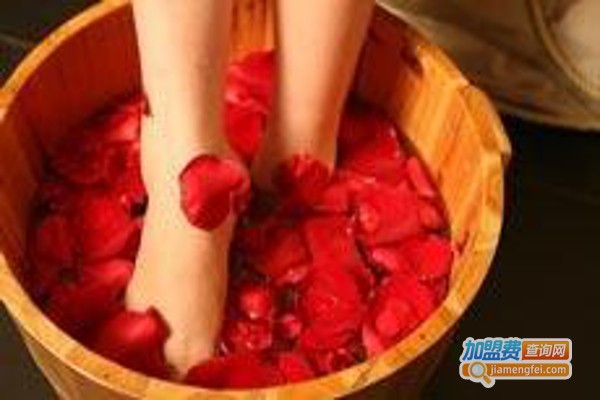 速乐智能影音加盟费