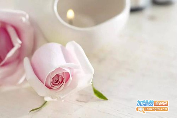 造美净界护肤加盟费