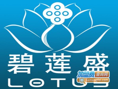 碧莲盛无痕植发加盟