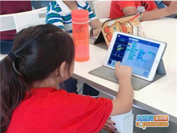 编程总动员加盟费