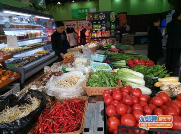 时时果蔬加盟费