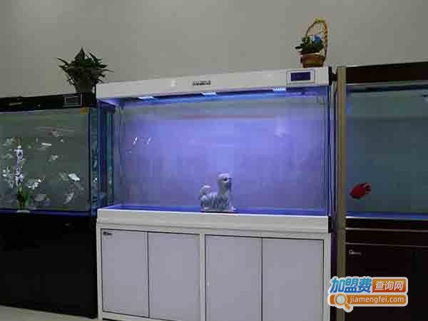 名亨鱼缸加盟店