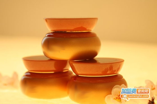 秀美之源化妆品加盟费