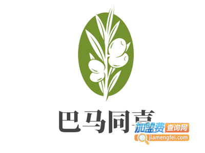 巴马同喜休闲食品加盟费