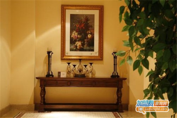 乐芒硅藻泥加盟店