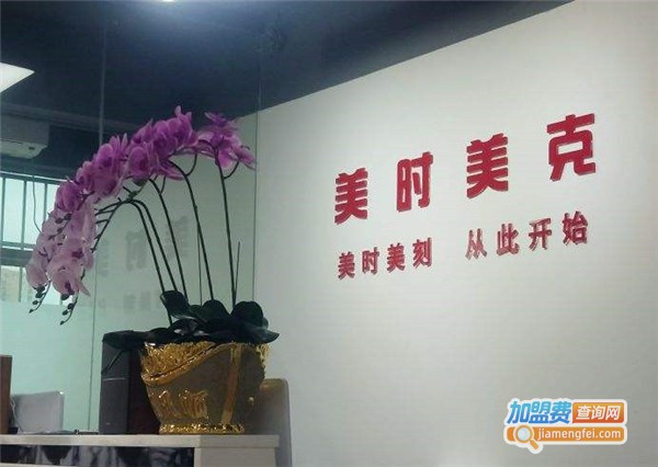 美时美克空气净化器