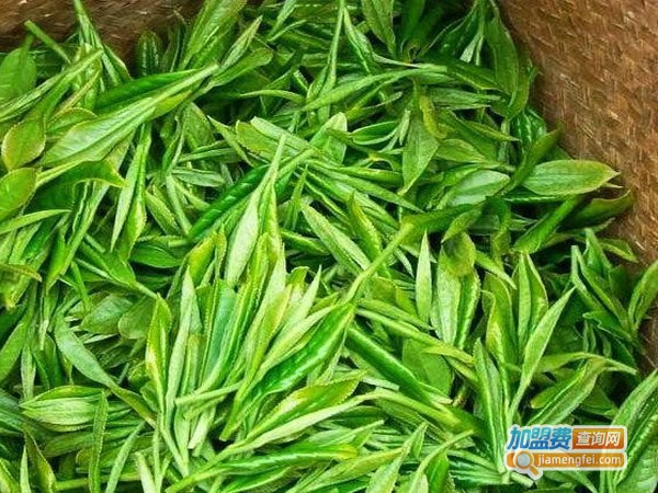 永川秀芽加盟店