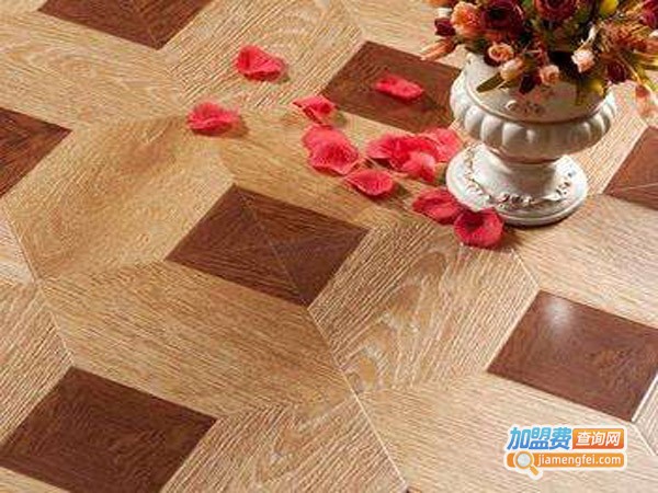 奔象智能自热地板加盟店