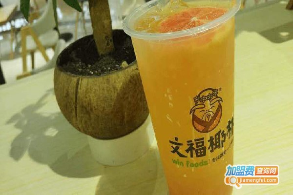 文福椰林加盟费