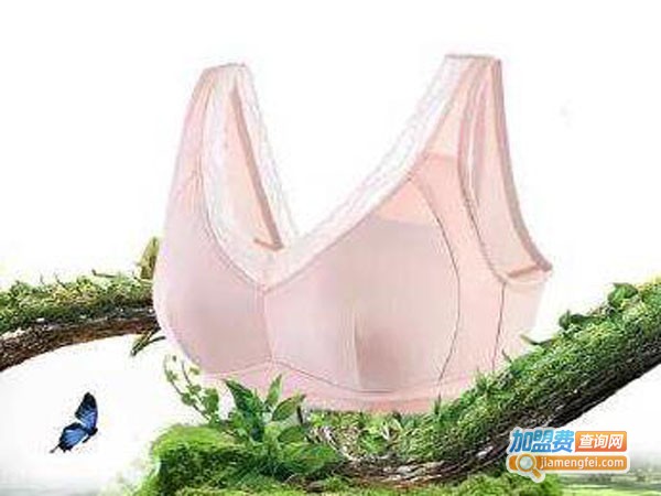 裸香内衣加盟店