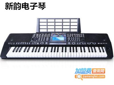 新韵电子琴加盟费