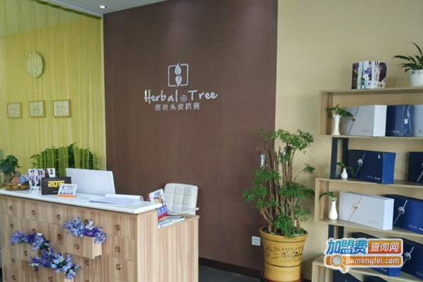 菩叶养发加盟费