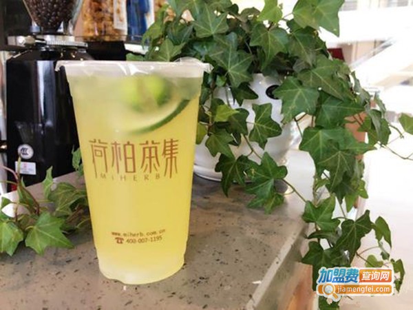 荷柏茶集加盟费