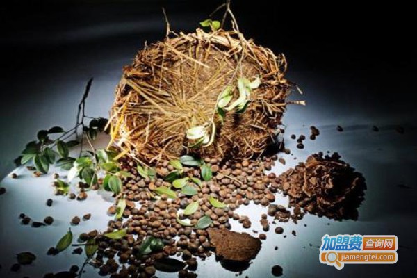 茶麸养发加盟费