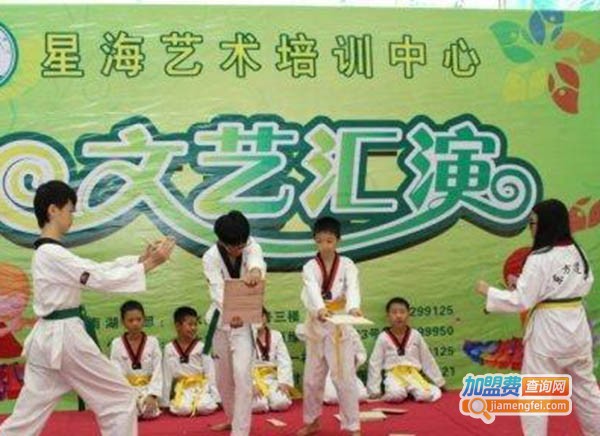 星海文化艺术加盟费