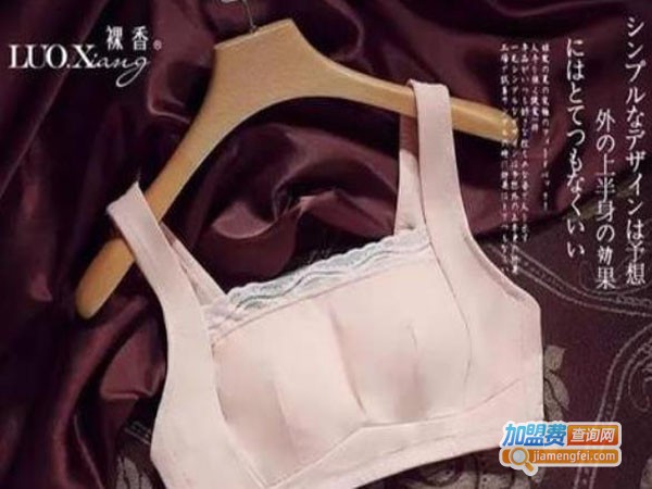 裸香内衣加盟店