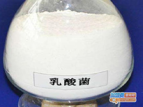 海太乳酸菌饮料加盟