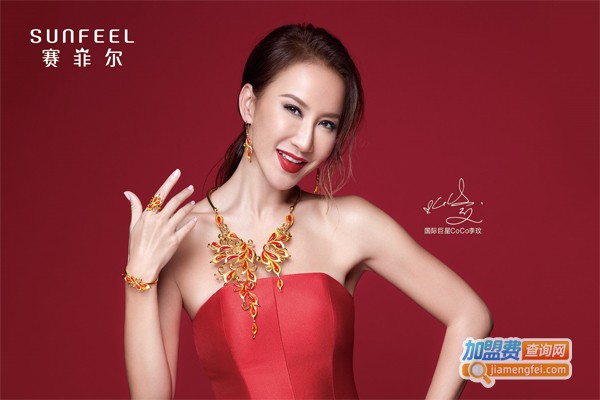 赛菲尔金店加盟费