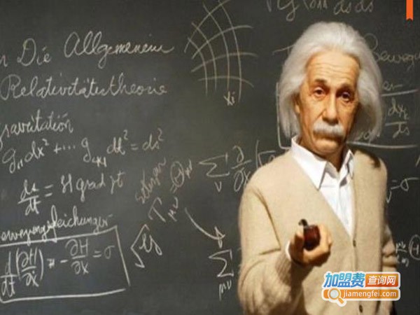 赛迪恩全脑开发加盟店