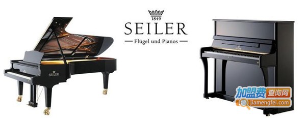 赛乐尔钢琴加盟费
