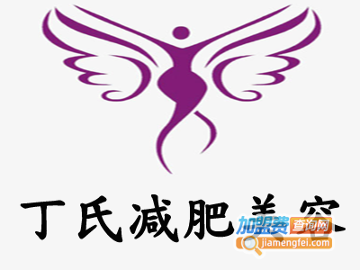 丁氏减肥美容加盟费