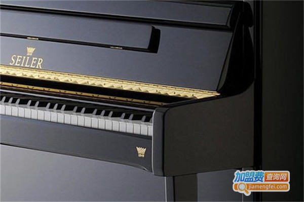 赛乐尔钢琴加盟费