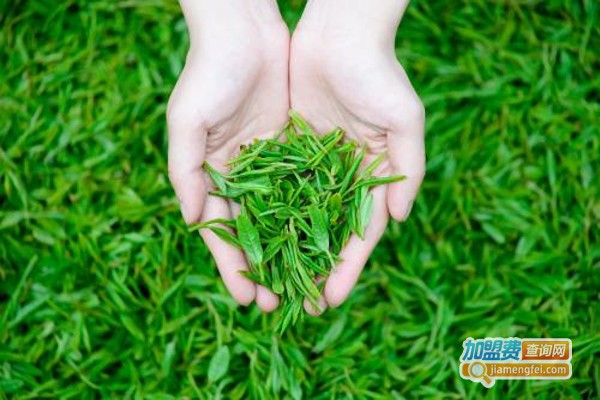 豫天园茶叶加盟费