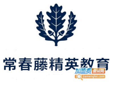 常春藤精英教育加盟费