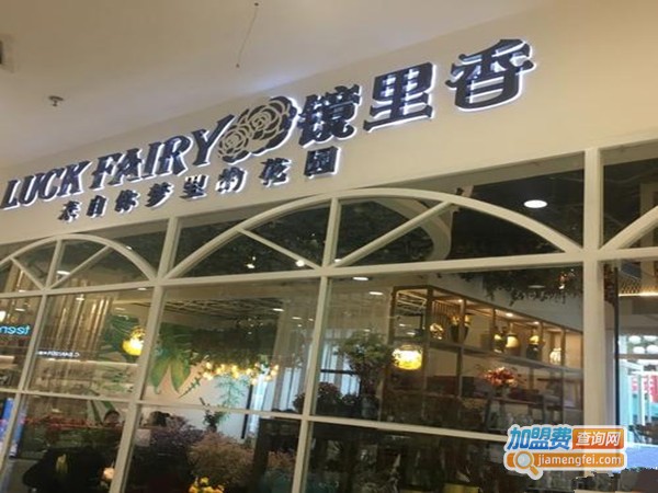 镜里香鲜果加盟费