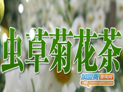 虫草菊花茶