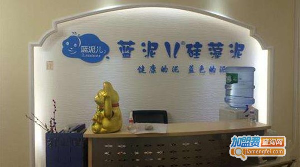 蓝泥儿硅藻泥加盟费