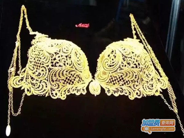 黄金风格内衣加盟店