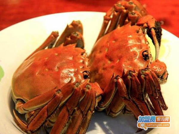 板桥大闸蟹加盟费
