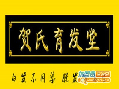 贺氏育发馆加盟费