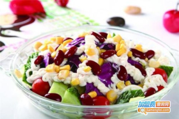 氧气沙拉加盟费