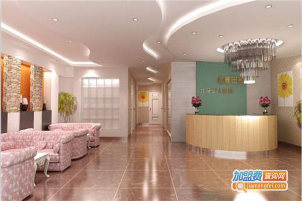 术妍美容加盟费