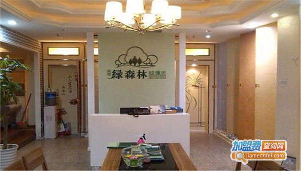 绿深林硅藻泥加盟费