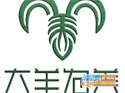 大羊为美加盟费