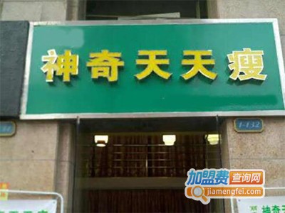 神奇天天瘦减肥加盟费