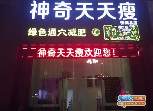 神奇天天瘦减肥加盟费