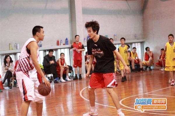王飞篮球训练营加盟费